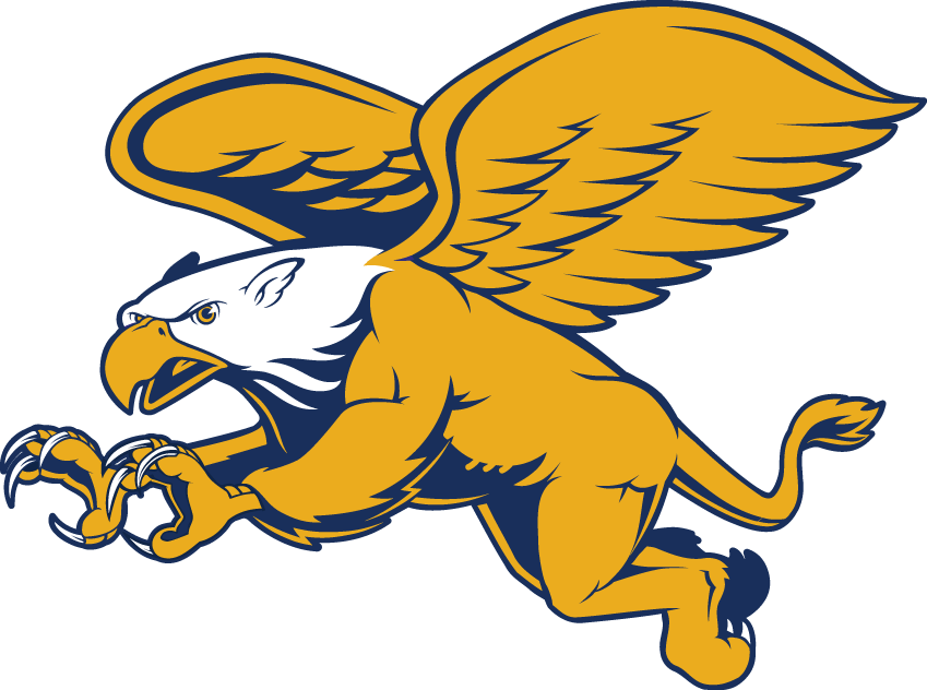 Canisius Golden Griffins 2006-Pres Secondary Logo DIY iron on transfer (heat transfer)